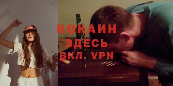 мет Елизово