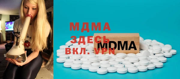мдпв Инсар