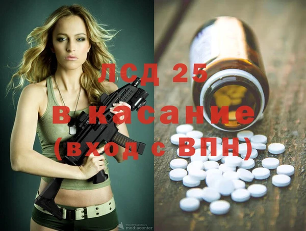 индика Алзамай