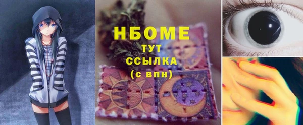 индика Алзамай