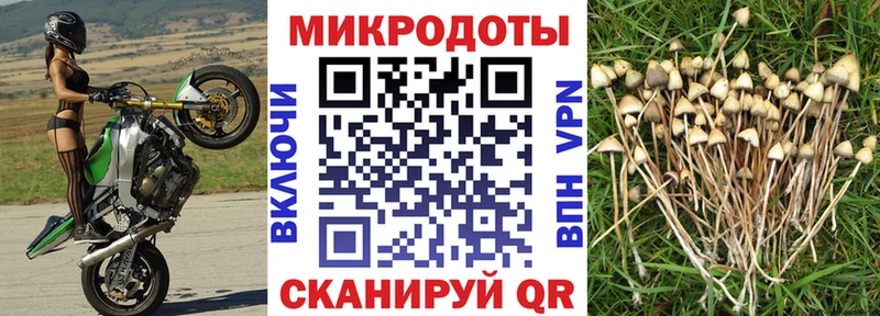 Галлюциногенные грибы GOLDEN TEACHER  блэк спрут онион  Нерехта 
